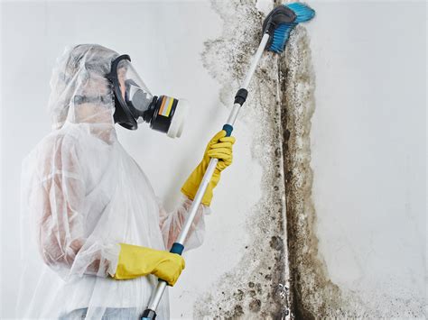 cleaning mud Malaysia|mould remediation services.